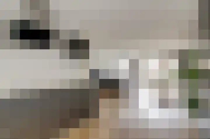 Lijster 19 De Lier thumbnail 17