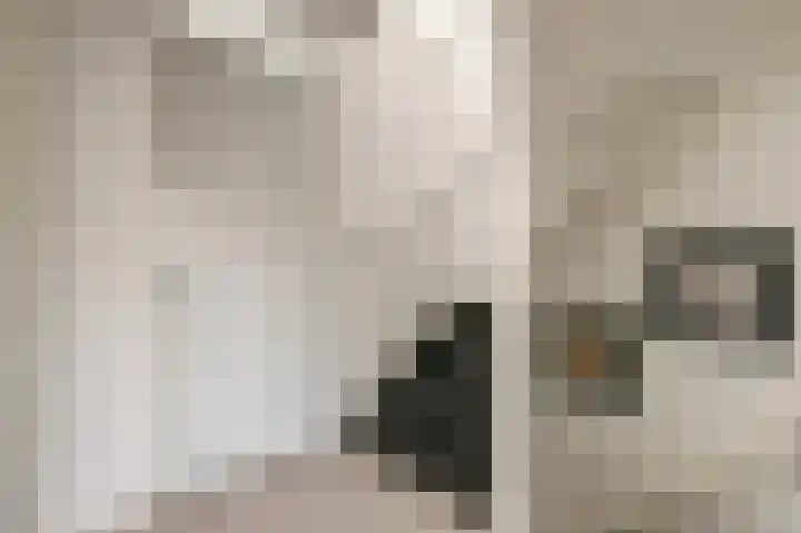 Lijster 19 De Lier thumbnail 19