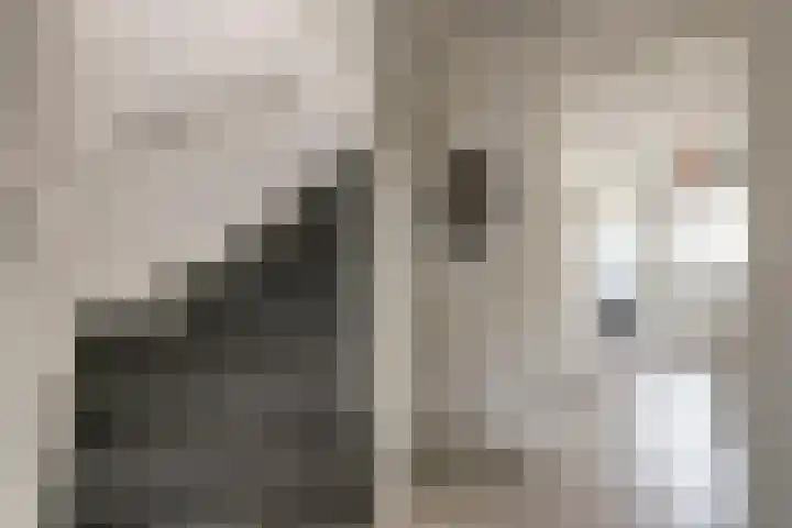 Lijster 19 De Lier thumbnail 20