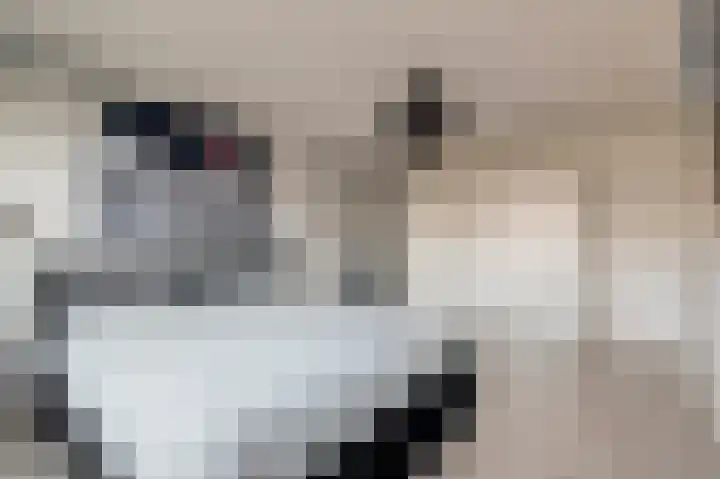 Lijster 19 De Lier thumbnail 21