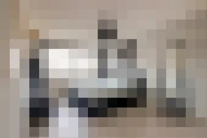 Lijster 19 De Lier thumbnail 22