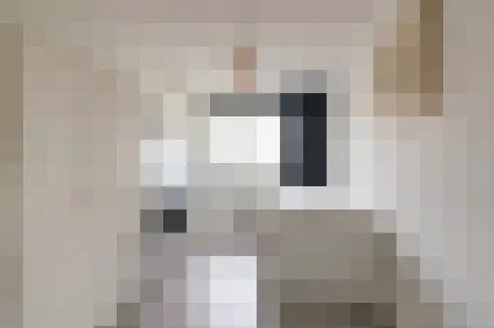 Lijster 19 De Lier thumbnail 23