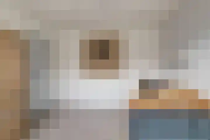 Lijster 19 De Lier thumbnail 26
