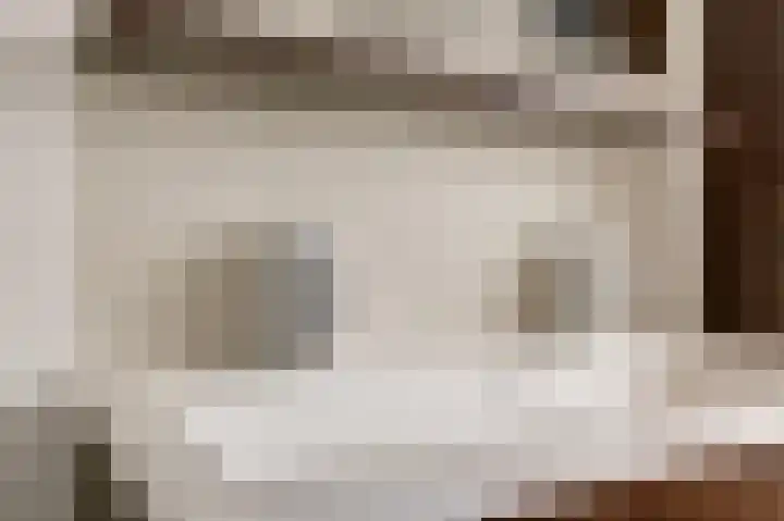 Lijster 19 De Lier thumbnail 29