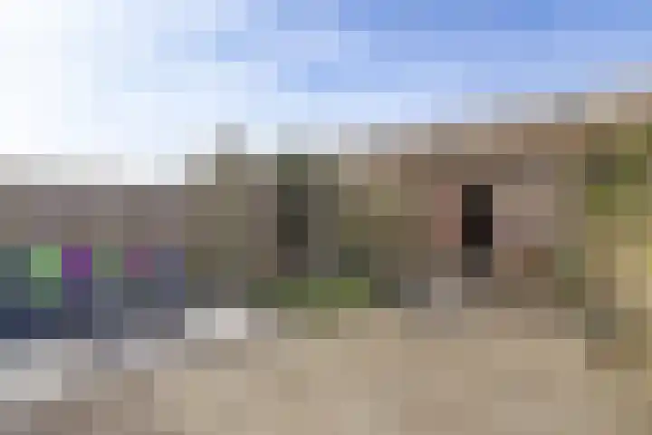 Lijster 19 De Lier foto 3