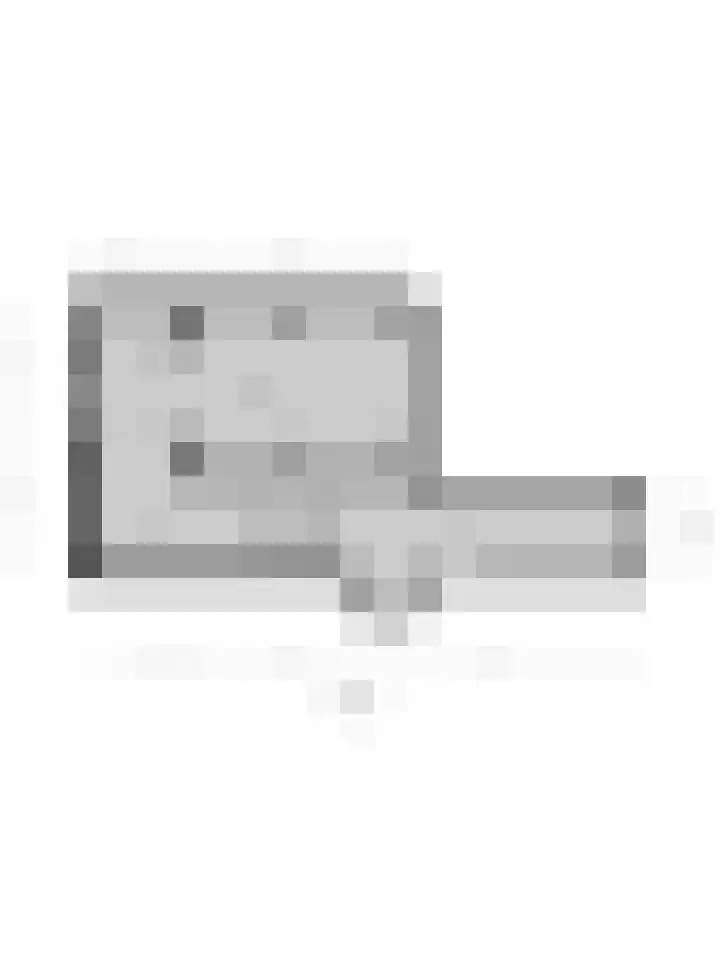 Lijster 19 De Lier thumbnail 30
