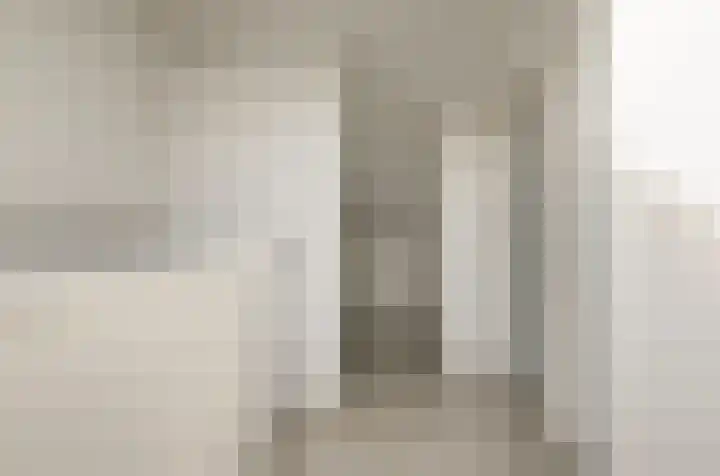 Lijster 19 De Lier thumbnail 30
