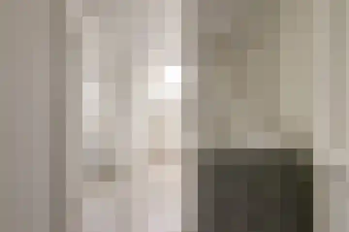 Lijster 19 De Lier thumbnail 32