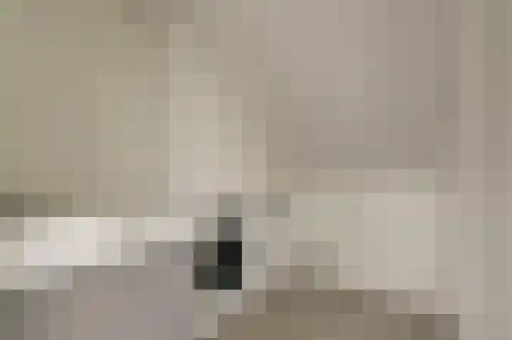 Lijster 19 De Lier thumbnail 33