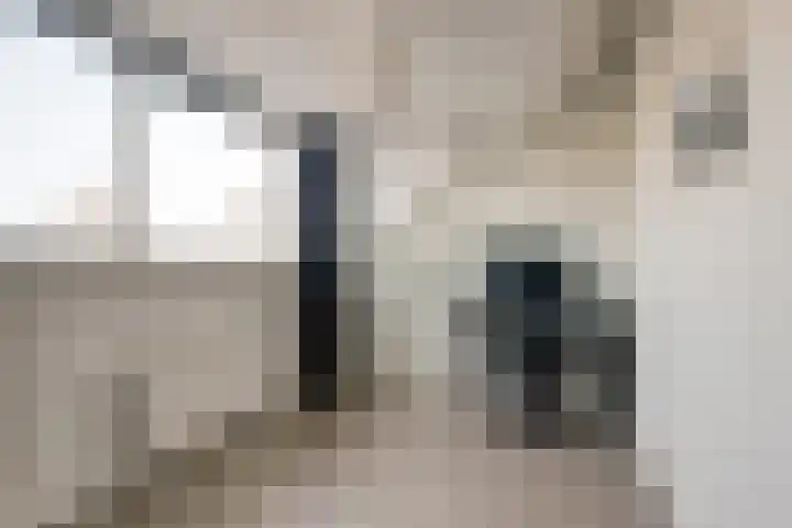 Lijster 19 De Lier thumbnail 34