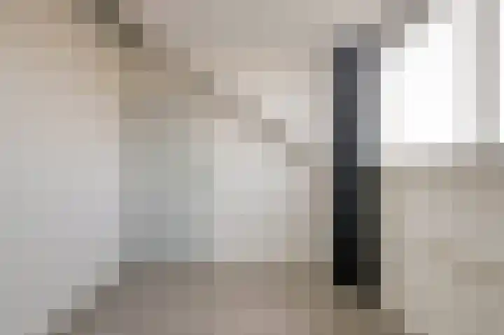 Lijster 19 De Lier thumbnail 35