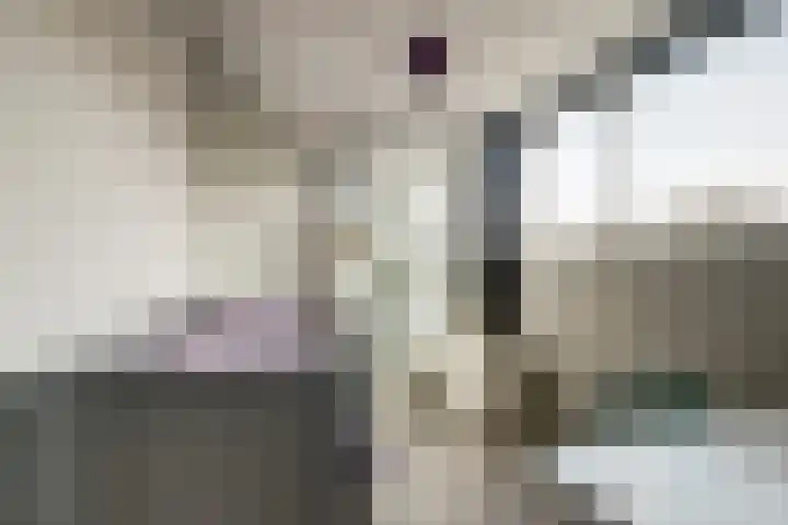 Lijster 19 De Lier thumbnail 36