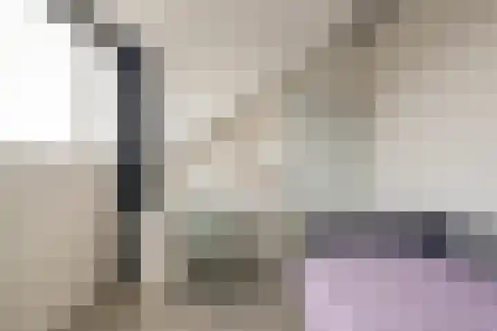 Lijster 19 De Lier thumbnail 37