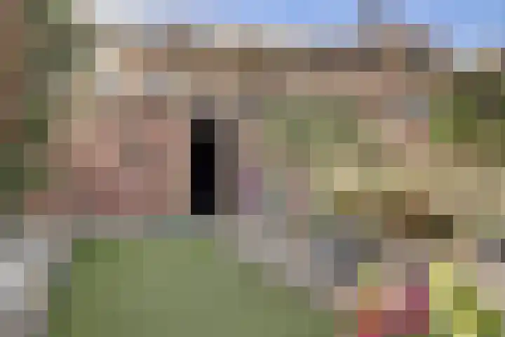 Lijster 19 De Lier thumbnail 40