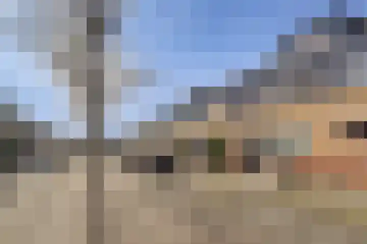Lijster 19 De Lier thumbnail 41