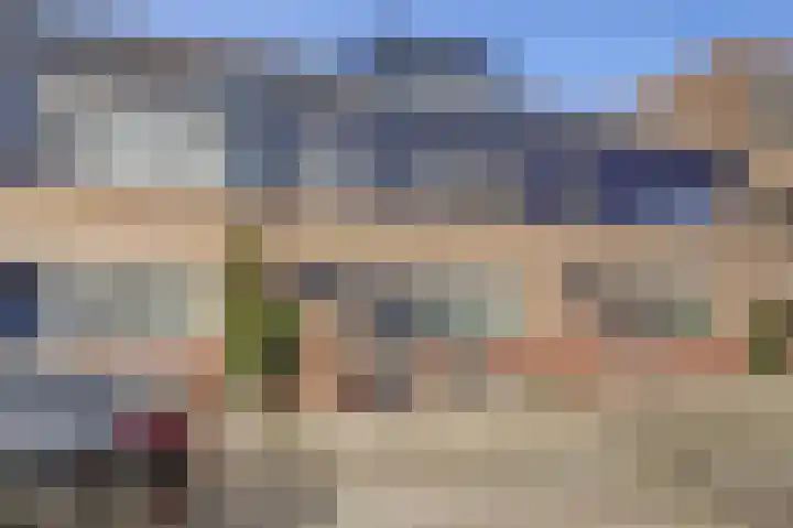 Lijster 19 De Lier thumbnail 42