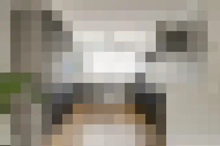 Lijster 19 De Lier thumbnail 5