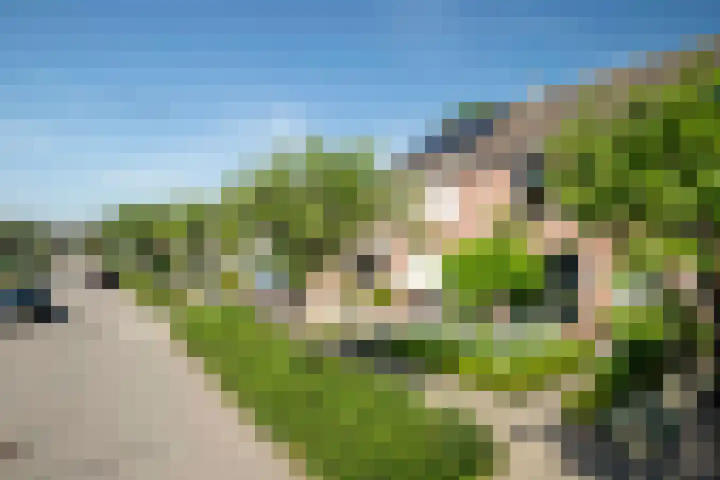 Lijster 19 Genemuiden thumbnail 10