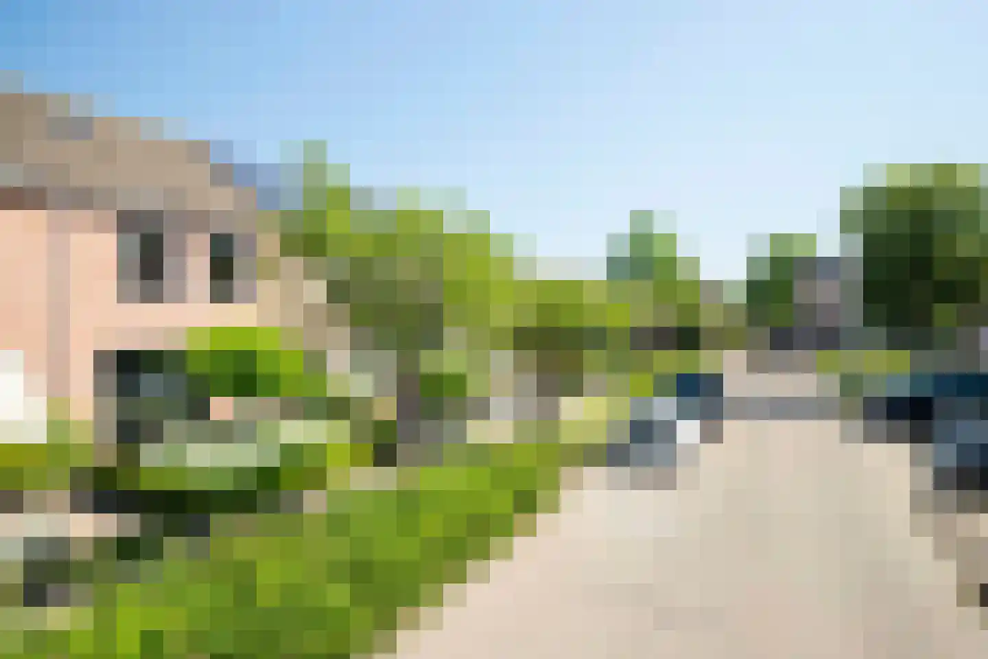 Lijster 19 Genemuiden thumbnail 11