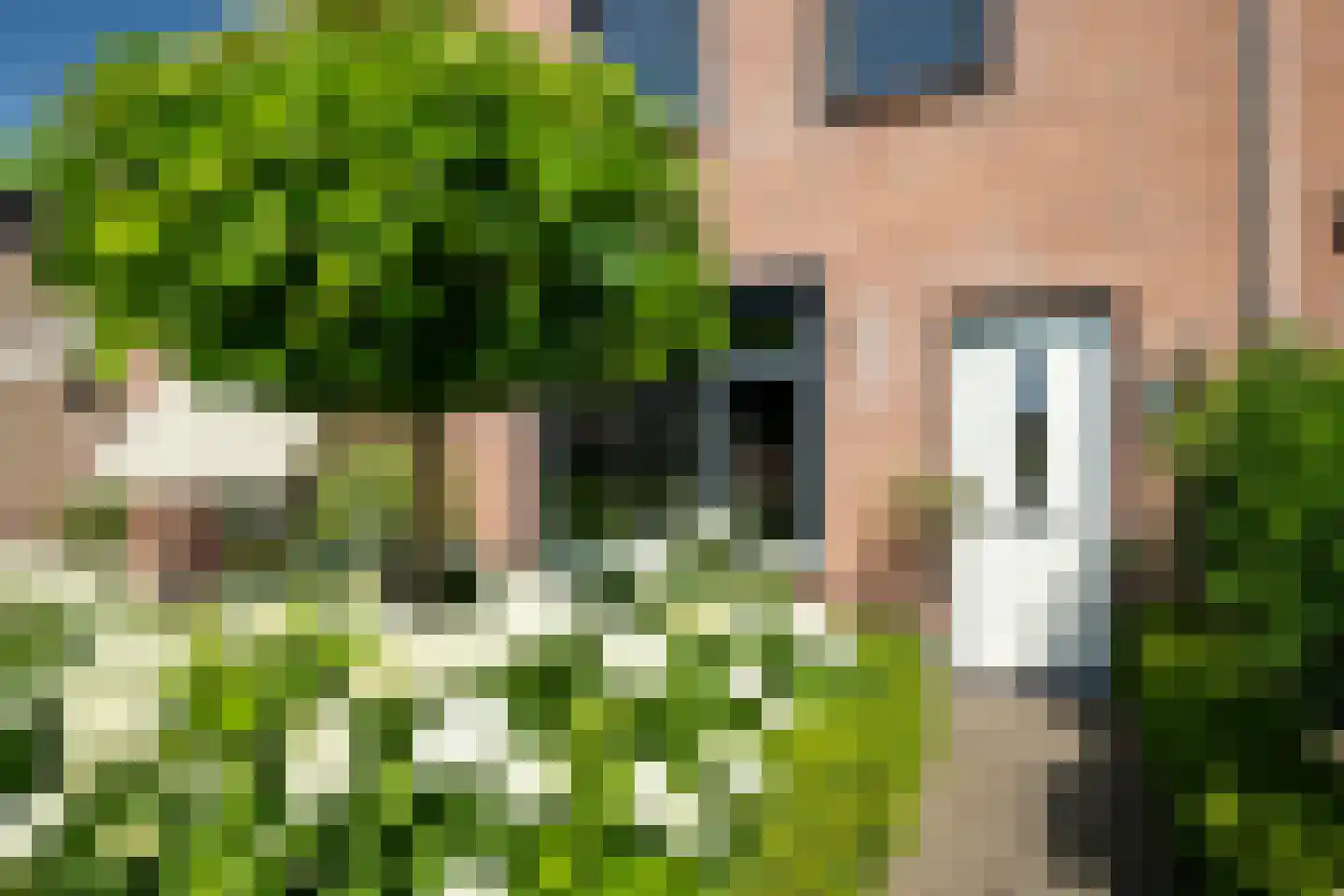 Lijster 19 Genemuiden thumbnail 12