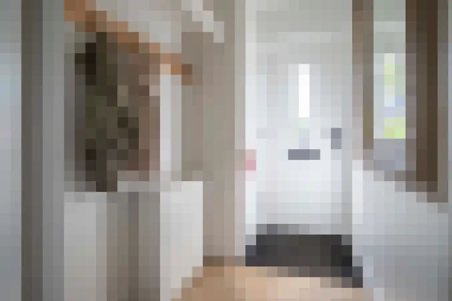 Lijster 19 Genemuiden thumbnail 13