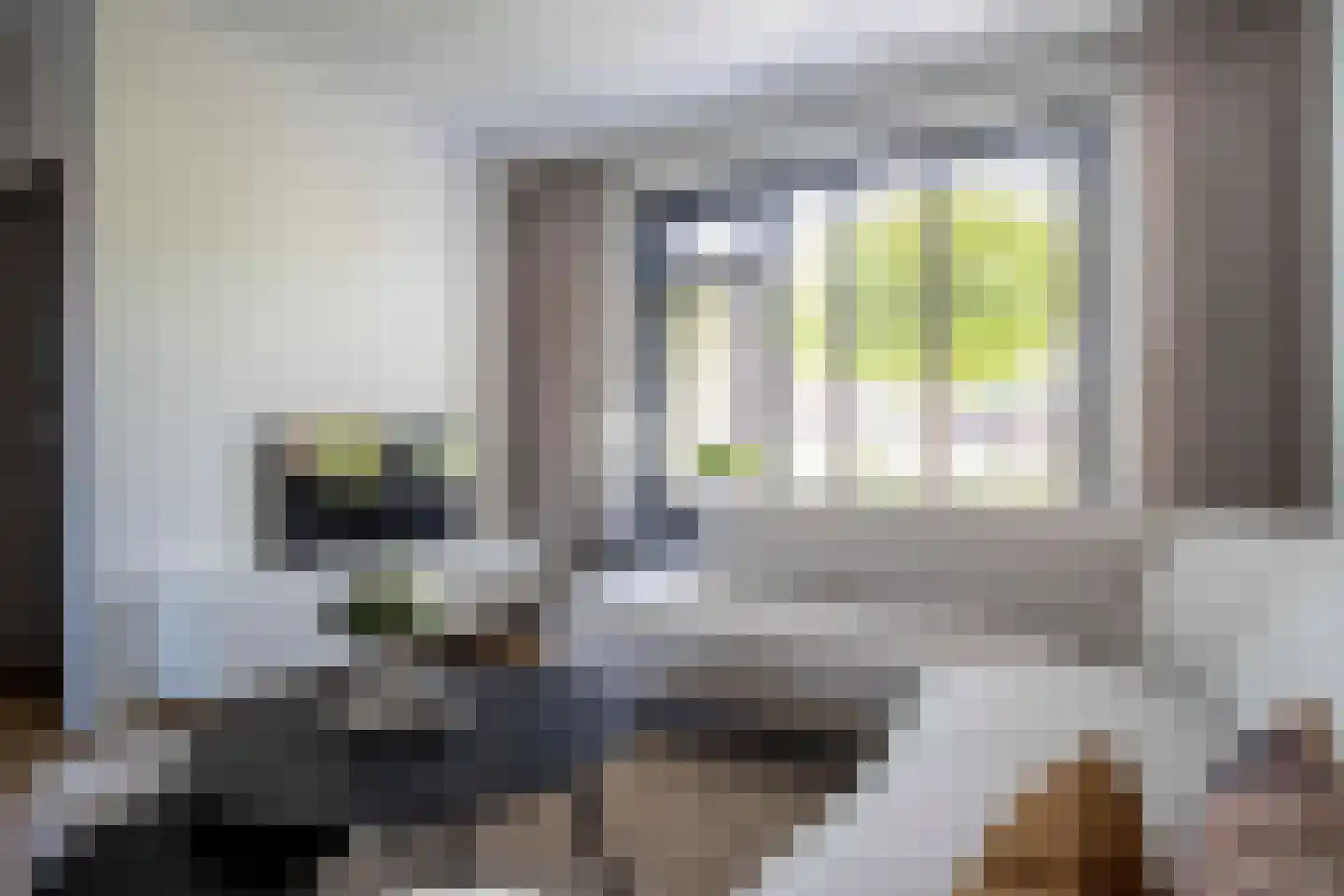 Lijster 19 Genemuiden thumbnail 14