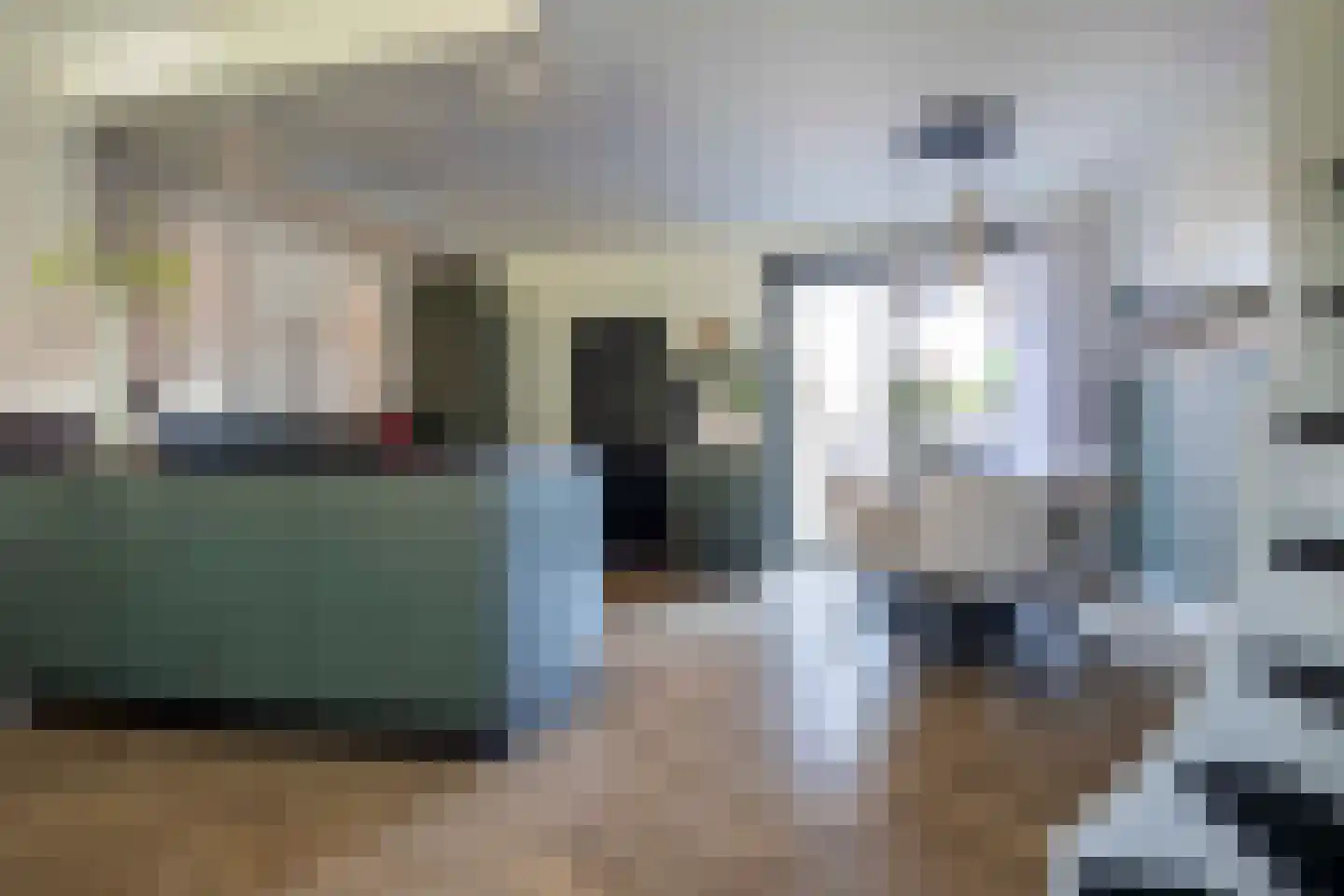 Lijster 19 Genemuiden thumbnail 16