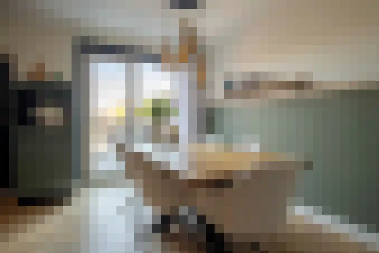 Lijster 19 Genemuiden thumbnail 17
