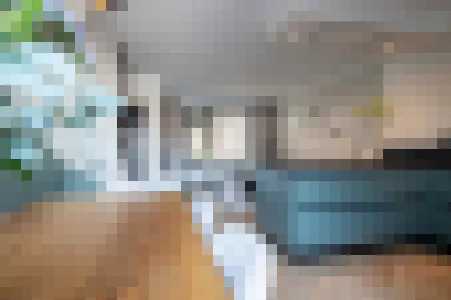 Lijster 19 Genemuiden thumbnail 18