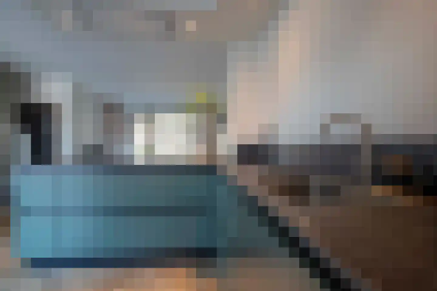Lijster 19 Genemuiden thumbnail 20