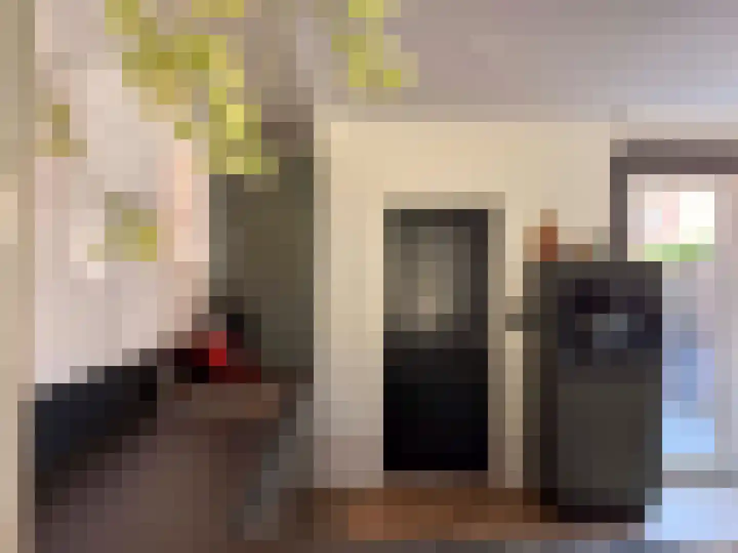 Lijster 19 Genemuiden thumbnail 21