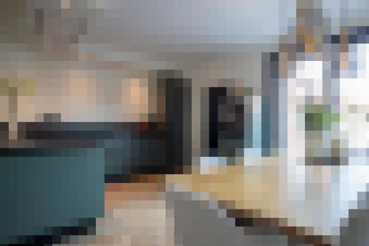 Lijster 19 Genemuiden thumbnail 23