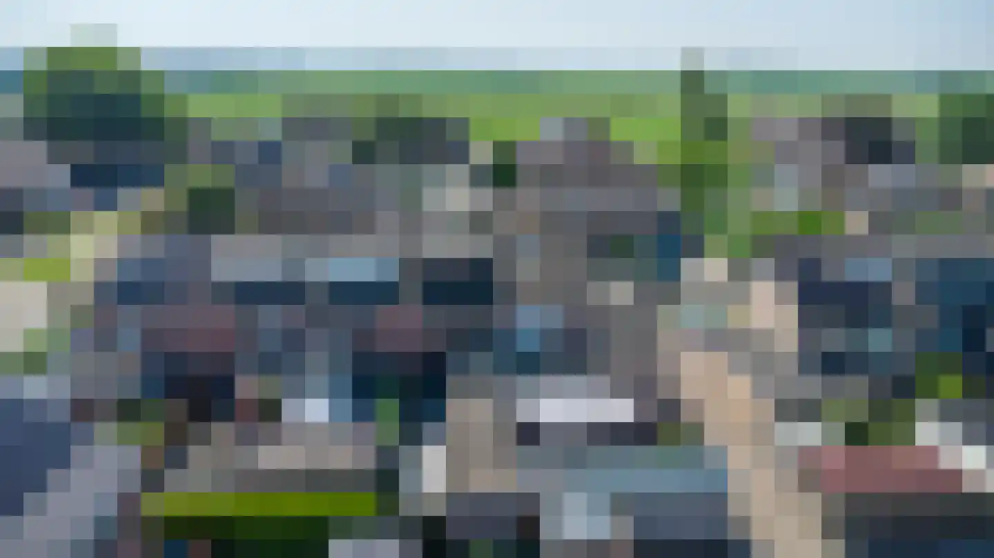 Lijster 19 Genemuiden thumbnail 25