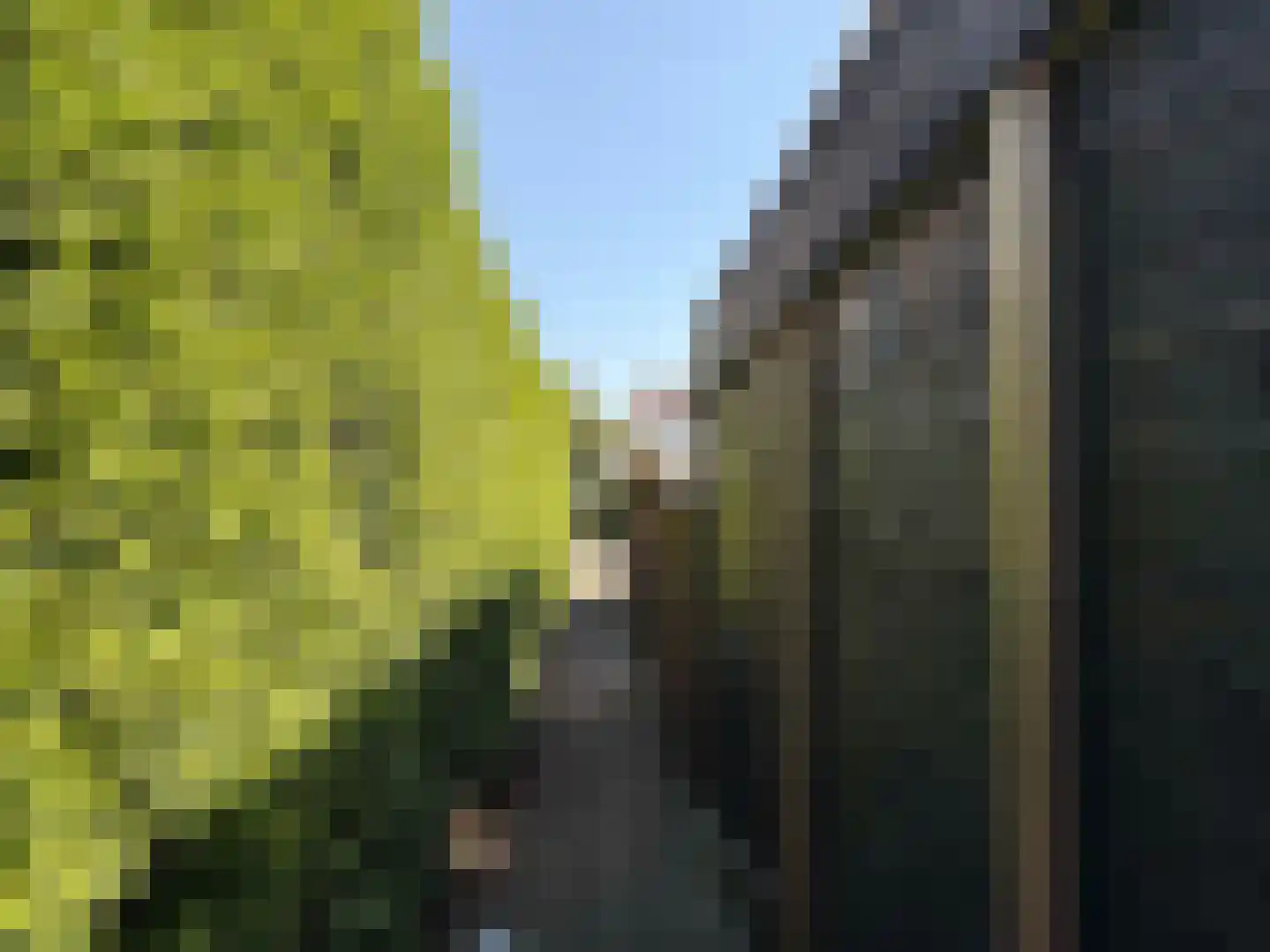 Lijster 19 Genemuiden thumbnail 26
