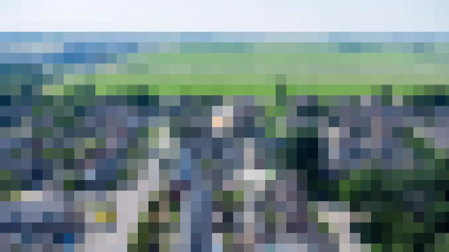 Lijster 19 Genemuiden thumbnail 28