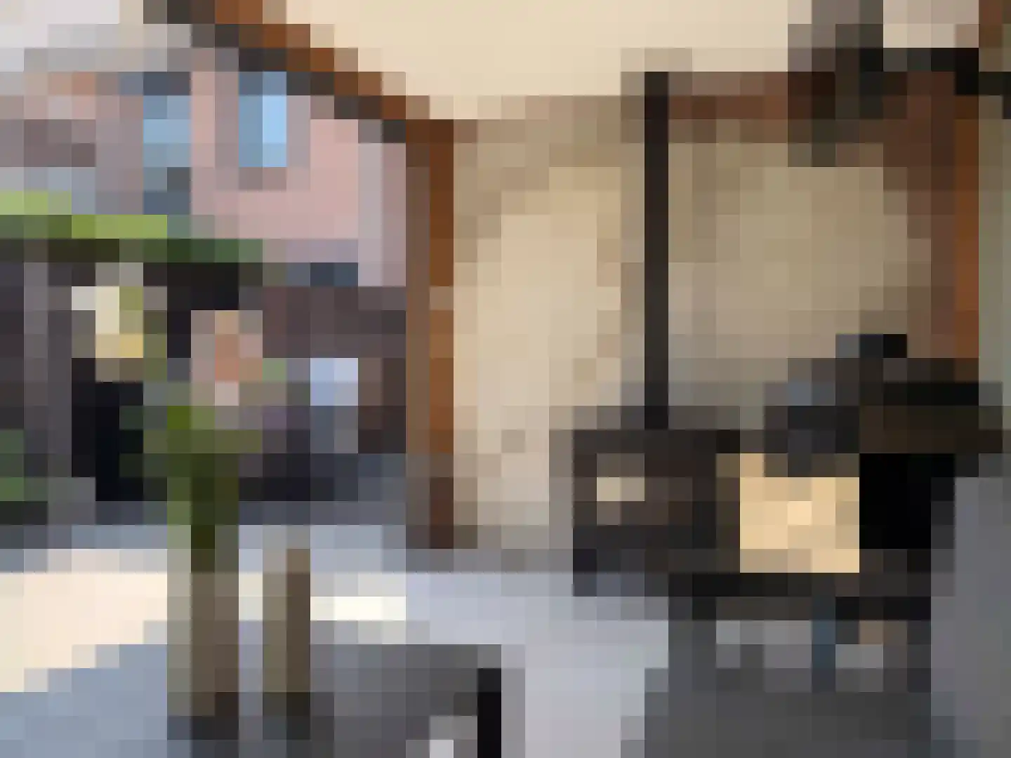 Lijster 19 Genemuiden thumbnail 29