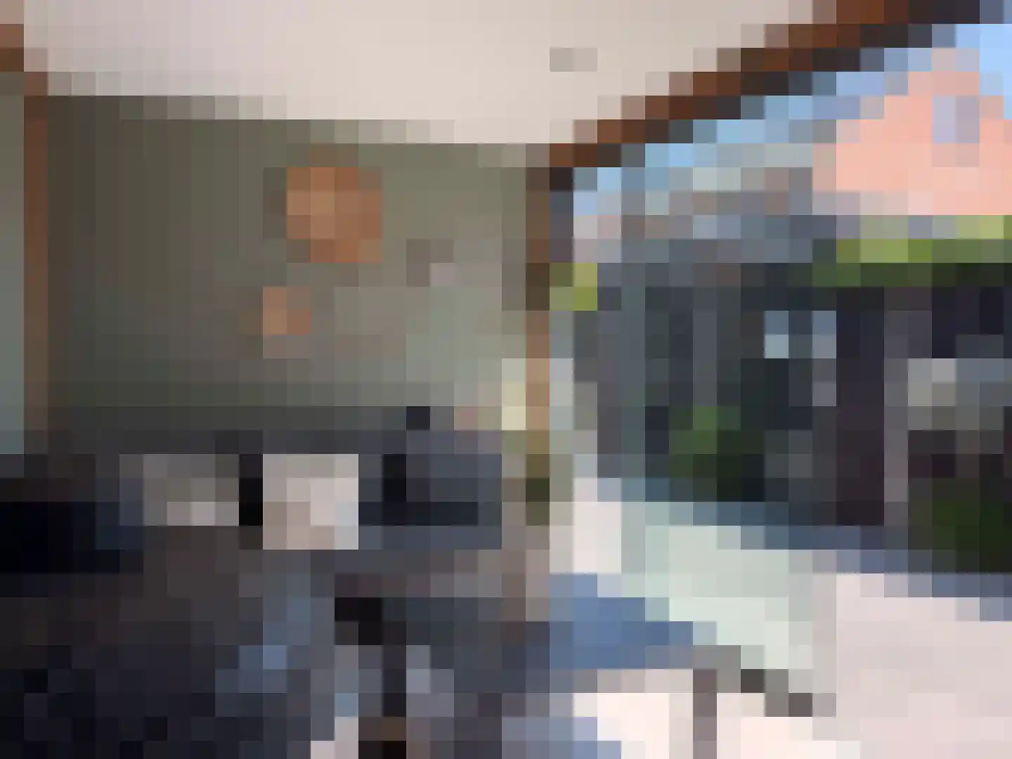Lijster 19 Genemuiden thumbnail 30