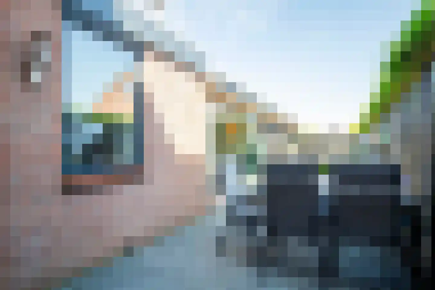 Lijster 19 Genemuiden thumbnail 33