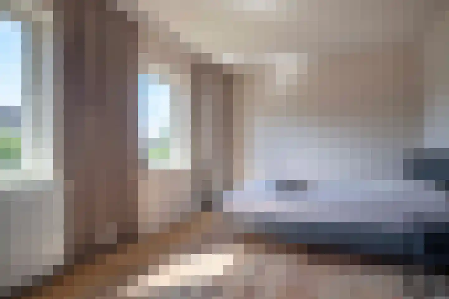 Lijster 19 Genemuiden thumbnail 38