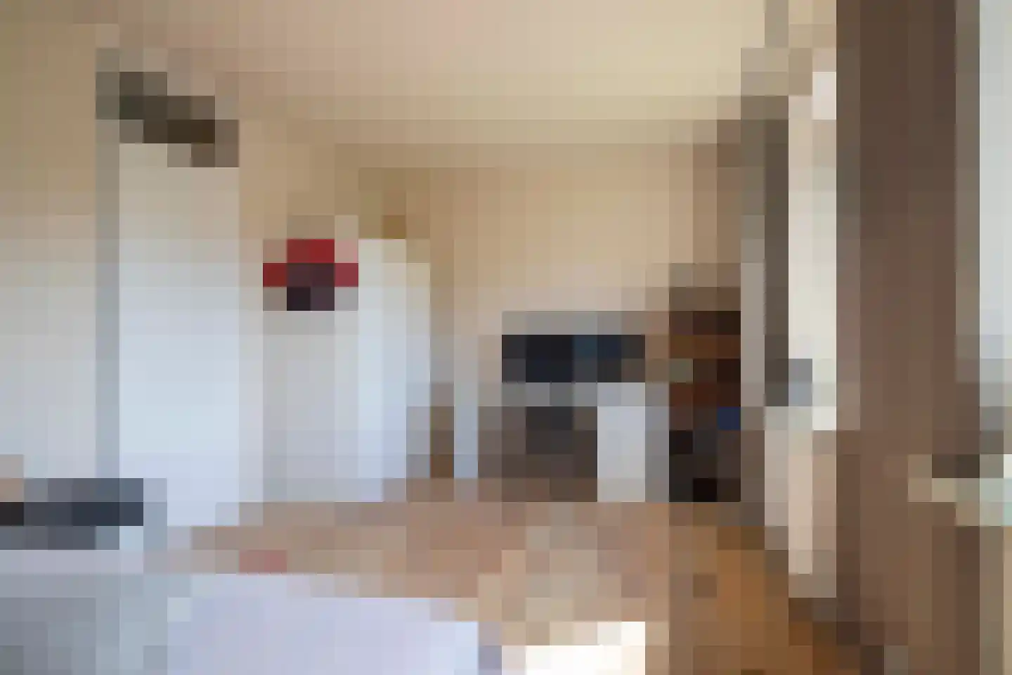 Lijster 19 Genemuiden thumbnail 39