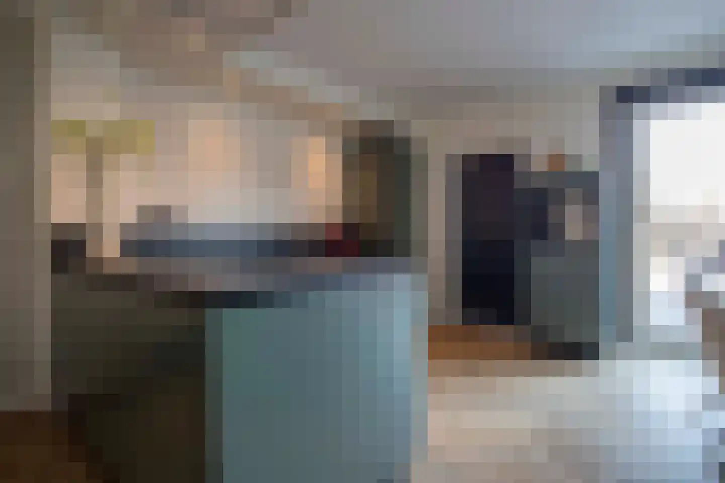 Lijster 19 Genemuiden thumbnail 4