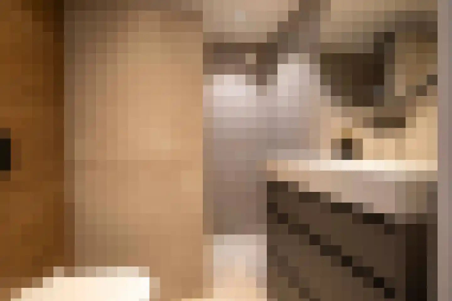 Lijster 19 Genemuiden thumbnail 40