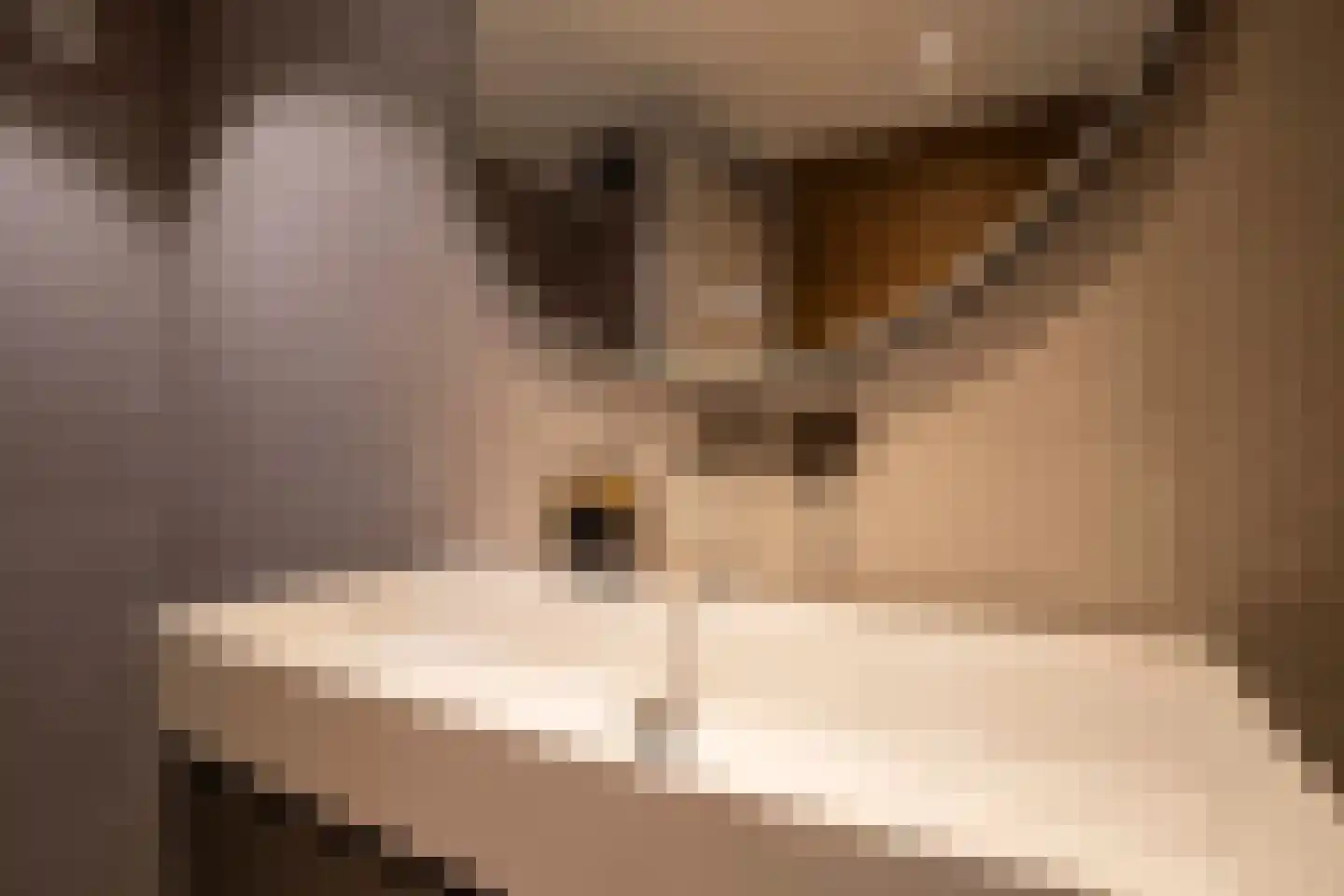 Lijster 19 Genemuiden thumbnail 41