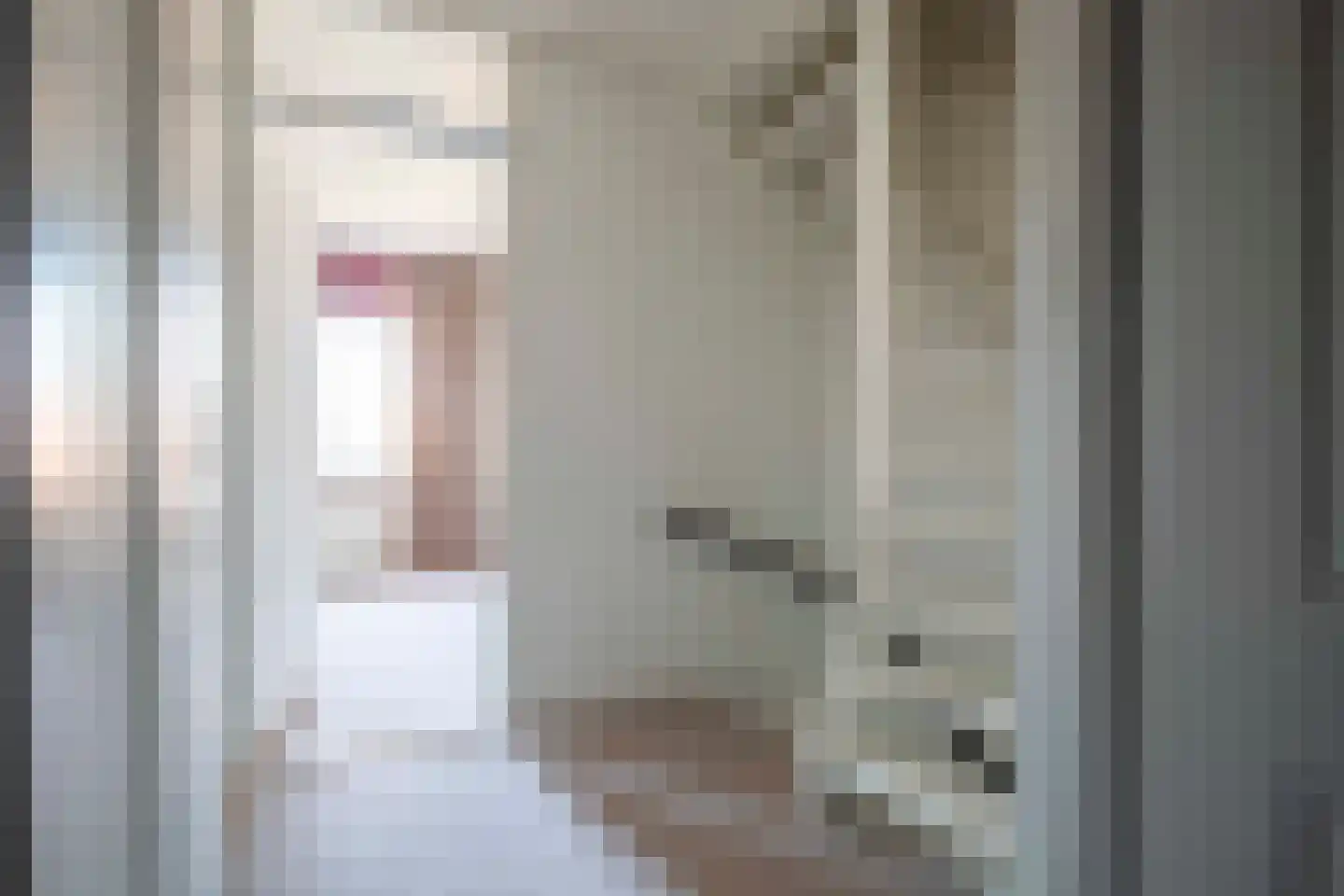 Lijster 19 Genemuiden thumbnail 43