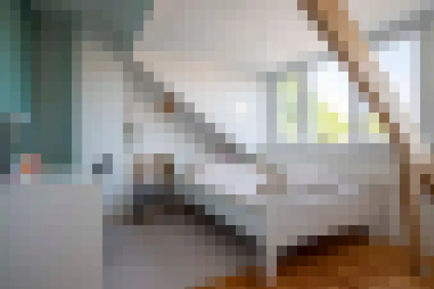 Lijster 19 Genemuiden thumbnail 46
