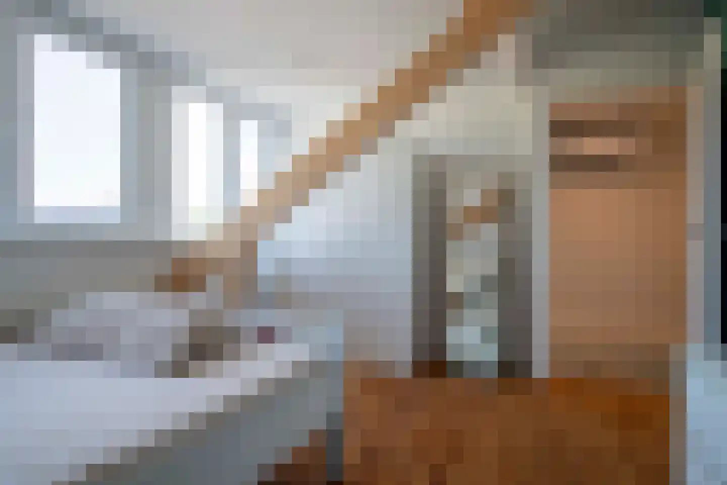 Lijster 19 Genemuiden thumbnail 47
