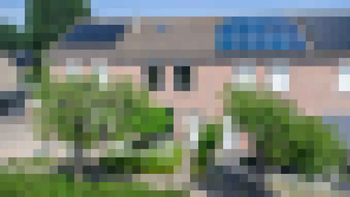 Lijster 19 Genemuiden thumbnail 6