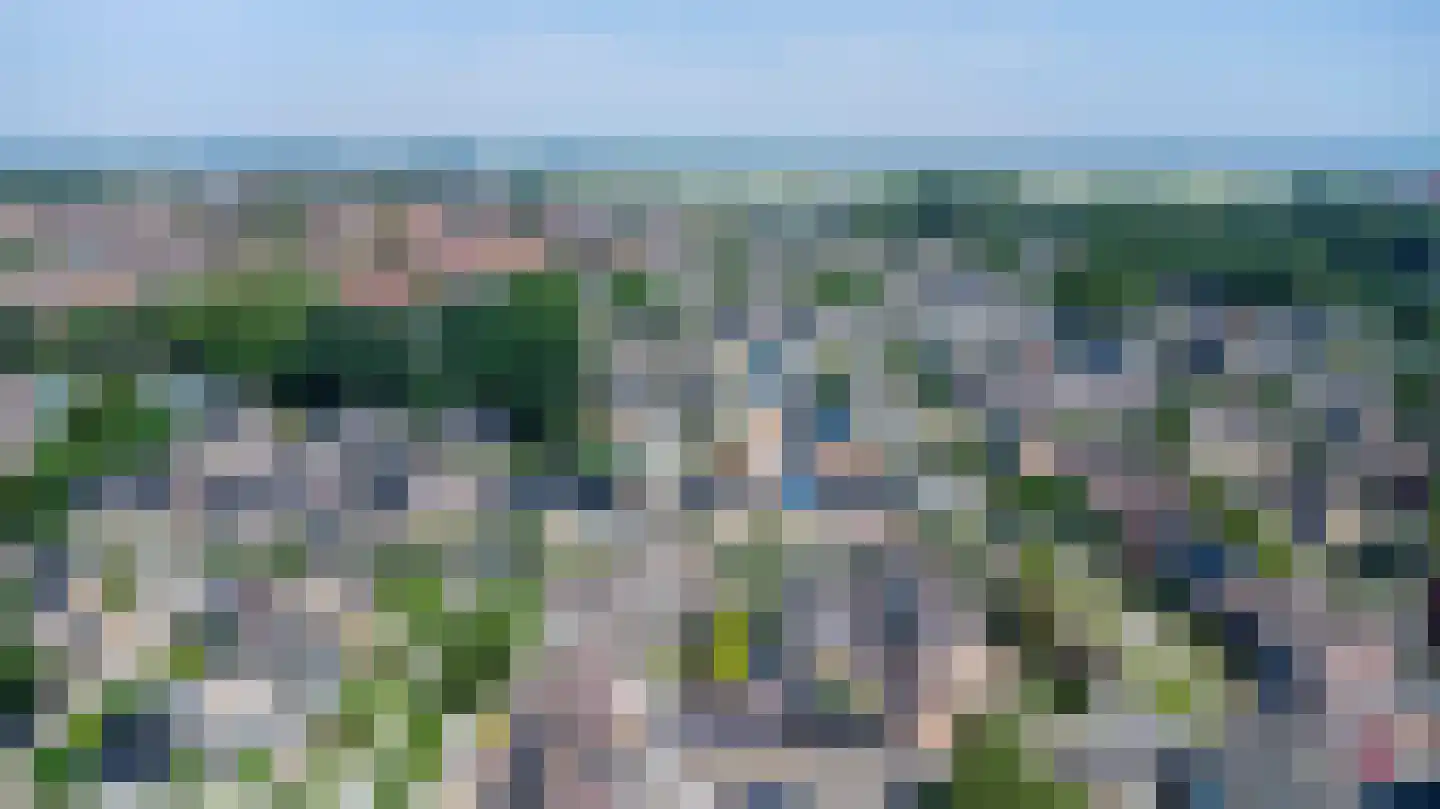 Lijster 19 Genemuiden thumbnail 7