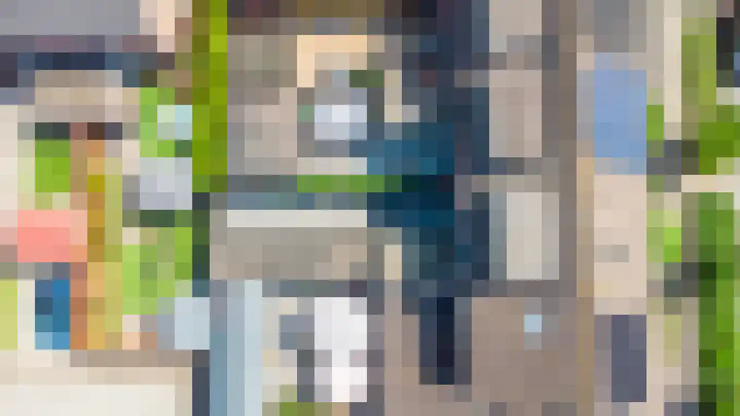 Lijster 19 Genemuiden thumbnail 8