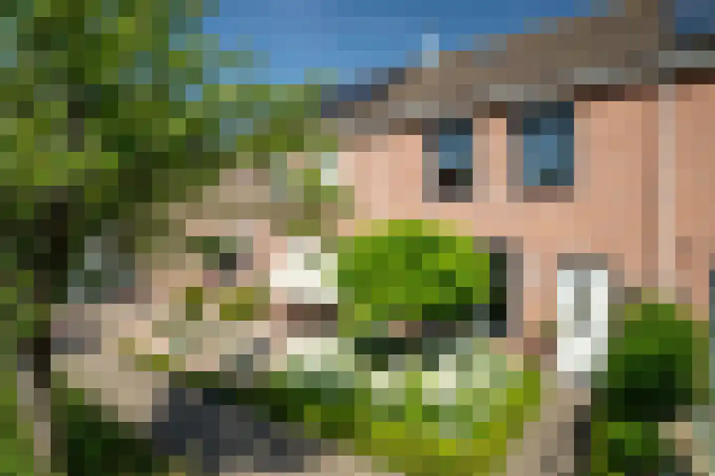 Lijster 19 Genemuiden thumbnail 9